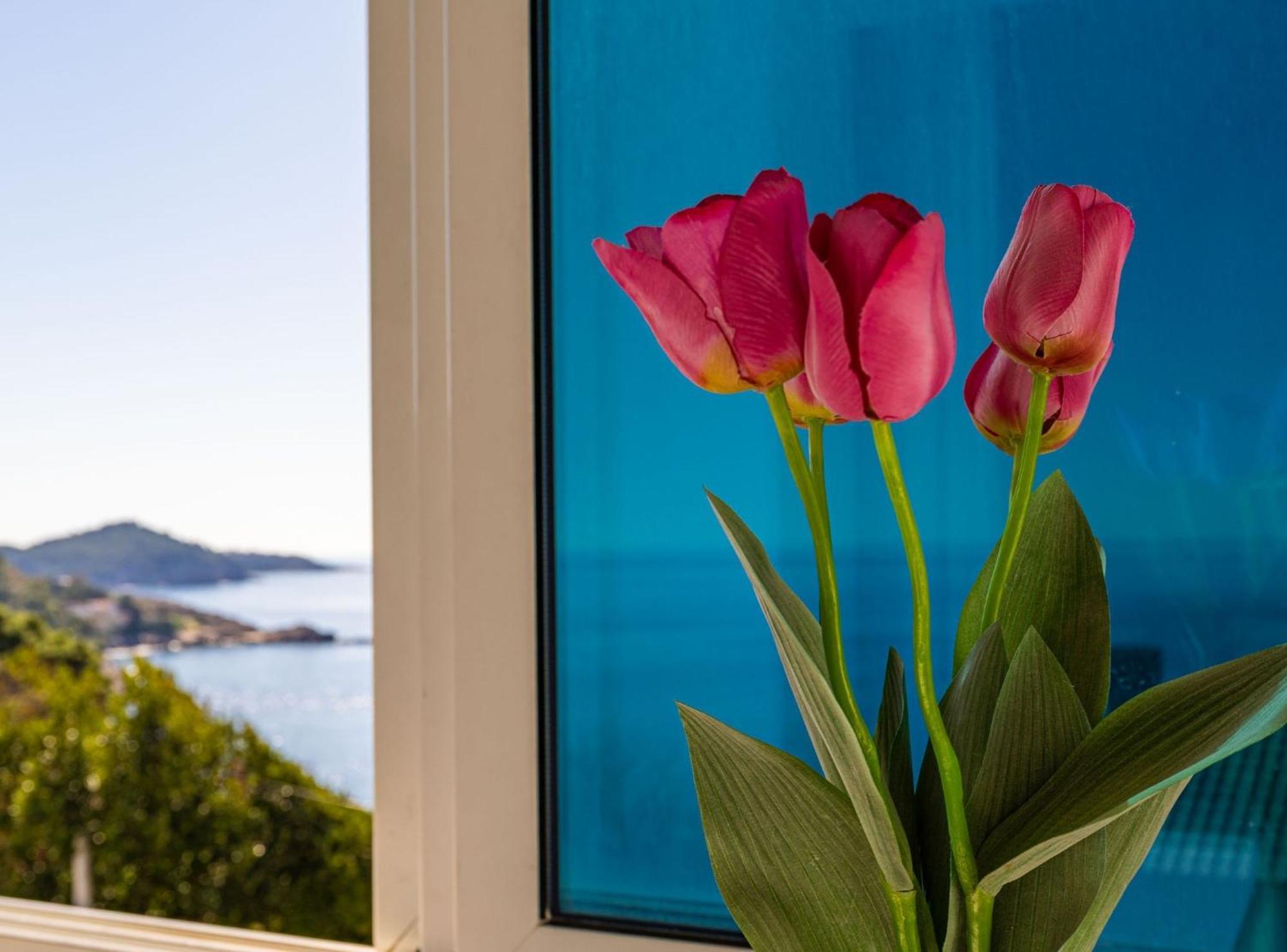 Apartment Butterfly Dubrovnik Luaran gambar